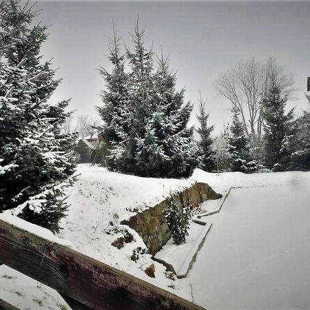לזשטינה Cottage Ozerniy מראה חיצוני תמונה